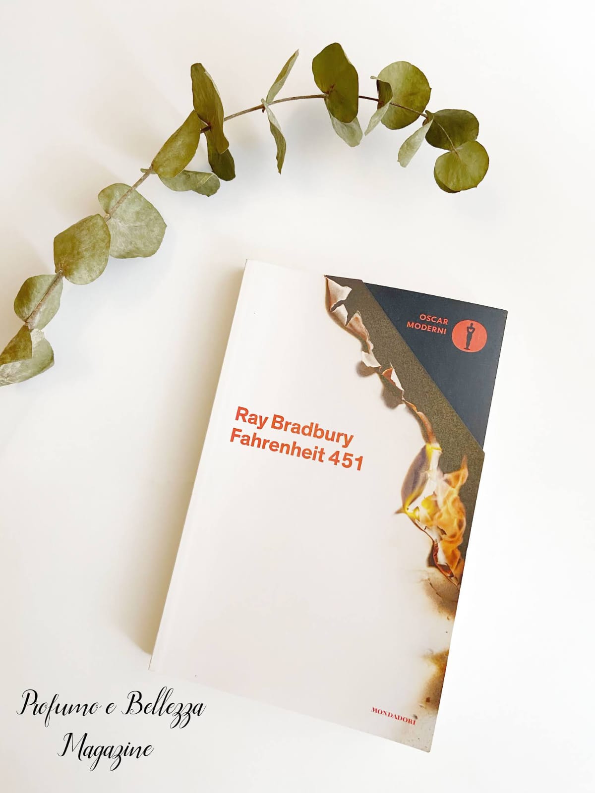 Fahrenheit 451, una premonizione della nostra società nel futuro?