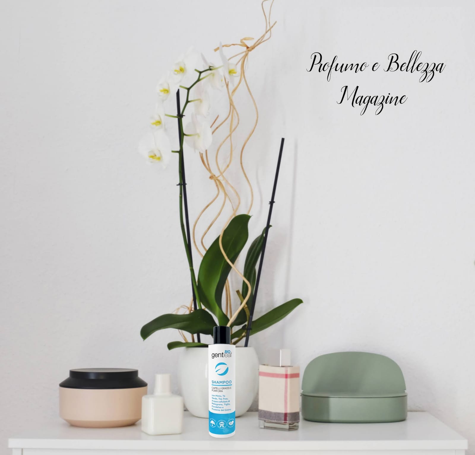 Shampoo capelli grassi e con forfora di Gentleaf