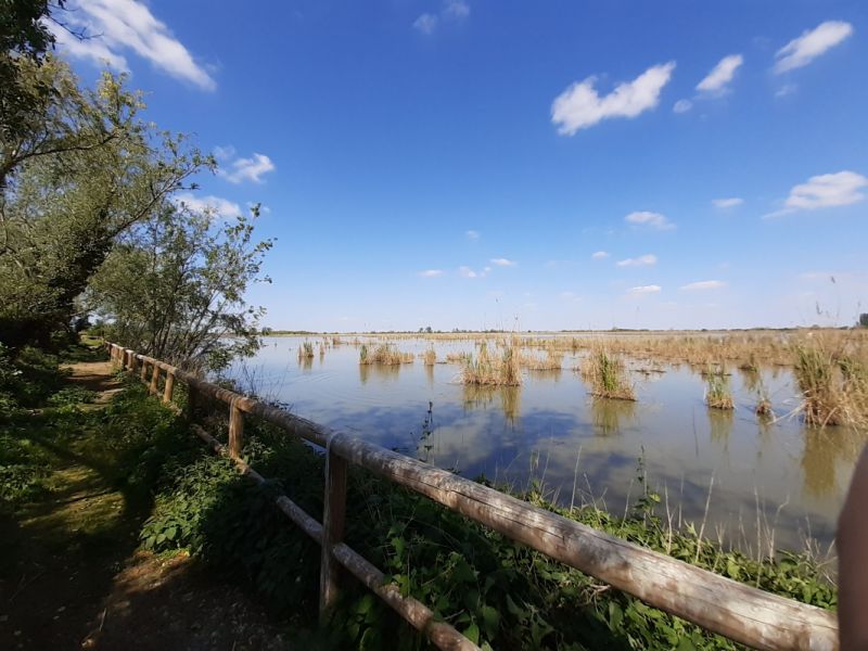 Parco del Delta del Po, Oasi